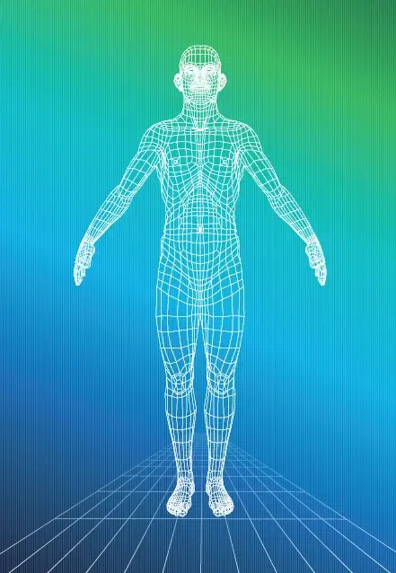 Human body diagram showing Woody Marks injury locations